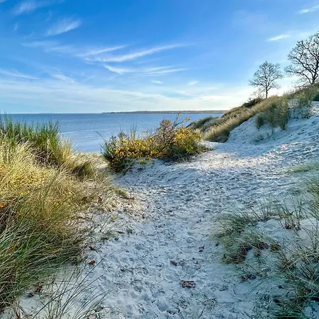 Holiday home In With Sauna Borkop